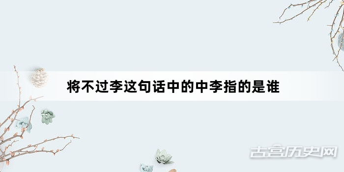 将不过李这句话中的中李指的是谁