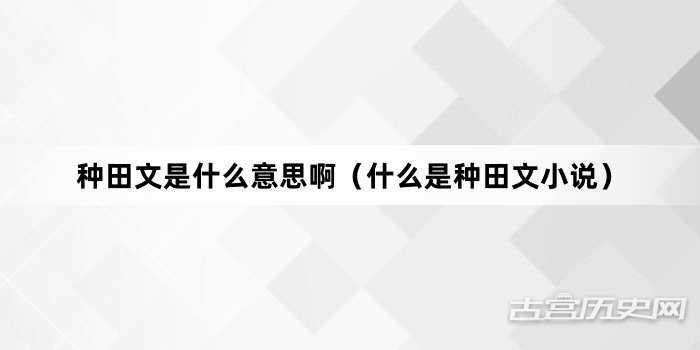 “种田文是什么意思啊（什么是种田文小说）”网络梗词解释