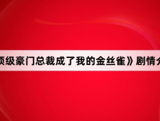 《顶级豪门总裁成了我的金丝雀》剧情介绍