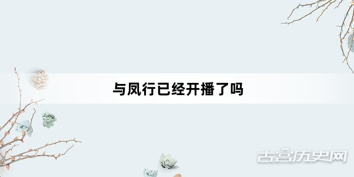 与凤行已经开播了吗