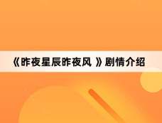 《昨夜星辰昨夜风 》剧情介绍