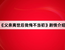 《父亲离世后我悔不当初》剧情介绍