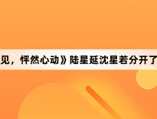 《再见，怦然心动》陆星延沈星若分开了多久