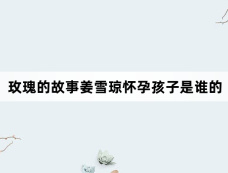 玫瑰的故事姜雪琼怀孕孩子是谁的