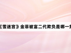 《雪迷宫》金菲被富二代欺负是哪一集