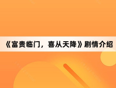 《富贵临门,喜从天降》剧情介绍
