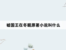 嘘国王在冬眠原著小说叫什么