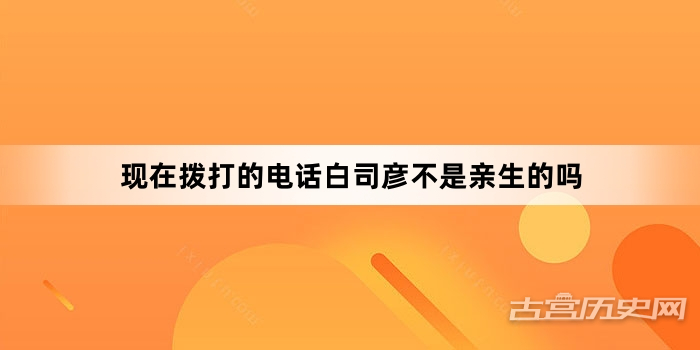 现在拨打的电话白司彦不是亲生的吗