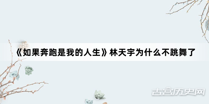 《如果奔跑是我的人生》林天宇为什么不跳舞了