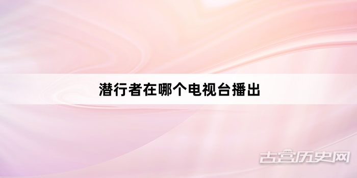 潜行者在哪个电视台播出