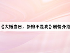 《大婚当日,新娘不是我》剧情介绍
