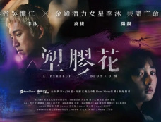 台剧《塑胶花》第1-10全集剧情（含结局）