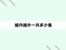 婚内婚外一共多少集