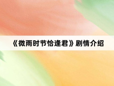 《微雨时节恰逢君》剧情介绍