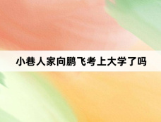 小巷人家向鹏飞考上大学了吗