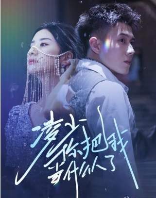 《凌少你把我当什么人了》剧情介绍
