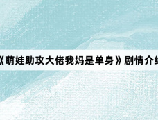 《萌娃助攻大佬我妈是单身》剧情介绍
