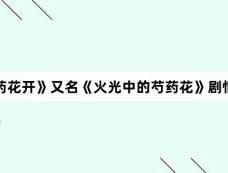 《芍药花开》又名《火光中的芍药花》剧情介绍