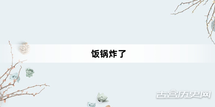 “饭锅炸了”网络梗词解释