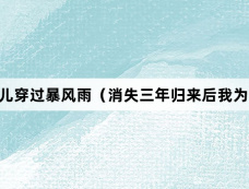 《我为女儿穿过暴风雨(消失三年归来后我为女儿斩荆棘)》剧情介绍