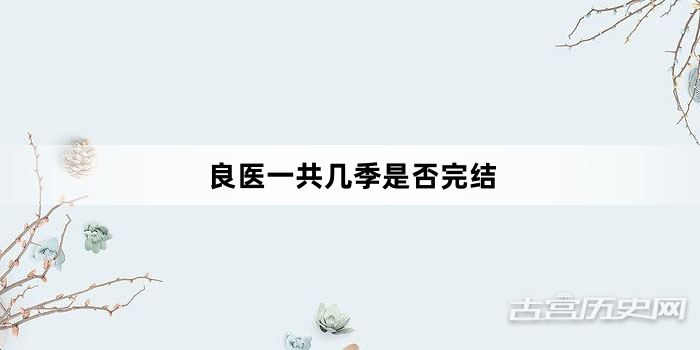 良医一共几季是否完结