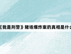 《我是刑警》赌场爆炸案的真相是什么