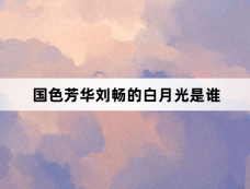 国色芳华刘畅的白月光是谁