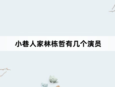 小巷人家林栋哲有几个演员