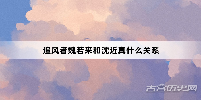 追风者魏若来和沈近真什么关系