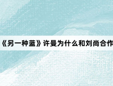 《另一种蓝》许曼为什么和刘尚合作