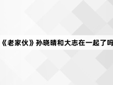 《老家伙》孙晓晴和大志在一起了吗