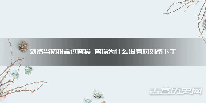 刘备当初投靠过曹操 曹操为什么没有对刘备下手
