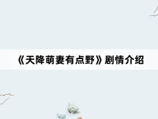 《天降萌妻有点野》剧情介绍