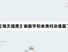 《海天雄鹰》谢振宇和余涛对决谁赢了