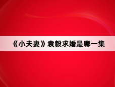 《小夫妻》袁毅求婚是哪一集