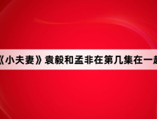 《小夫妻》袁毅和孟非在第几集在一起