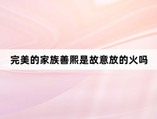 完美的家族善熙是故意放的火吗