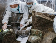 三星堆祭祀坑的年代