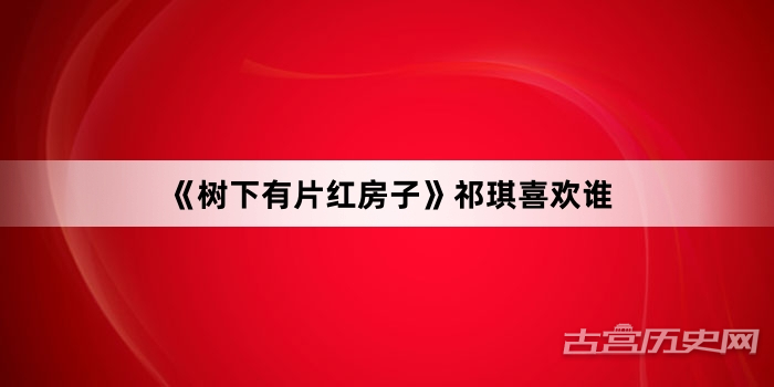 《树下有片红房子》祁琪喜欢谁