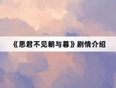 《思君不见朝与暮》剧情介绍