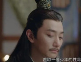 《浮图缘》南苑王介绍
