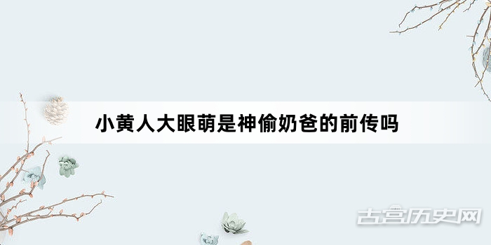 小黄人大眼萌是神偷奶爸的前传吗