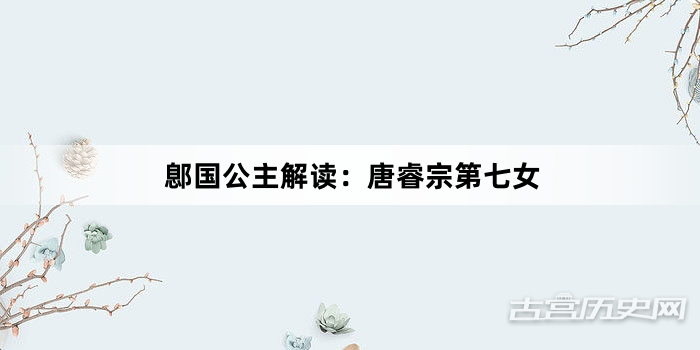 鄎国公主解读：唐睿宗第七女