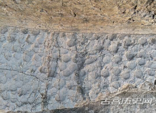 安徽濉溪临涣古城墙发掘获得重要认识