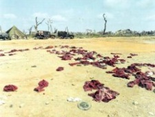 越南战争时南北越交换战俘