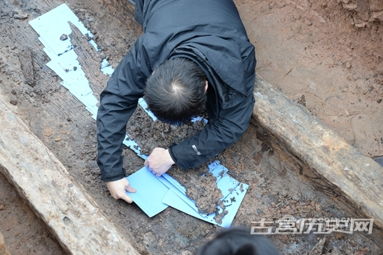 四川蒲江发现60座战国船棺墓