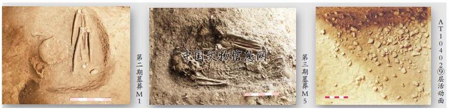 贵州牛坡洞遗址发掘获重要发现——首次在黔中地区建立从旧石器时代晚期到新石器时代晚期的年代序列