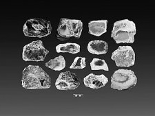 甘肃省考古所展示2016年12项考古工作成果