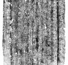 光业寺碑题记与唐代村落史研究