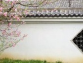 慈禧赐食汤圆:光绪“吃不了兜着走”